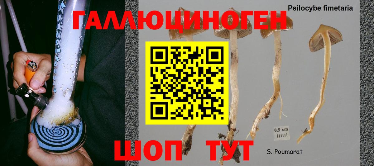 Кимовск  Псилоцибиновые грибы MAGIC MUSHROOMS  Вход с VPN 